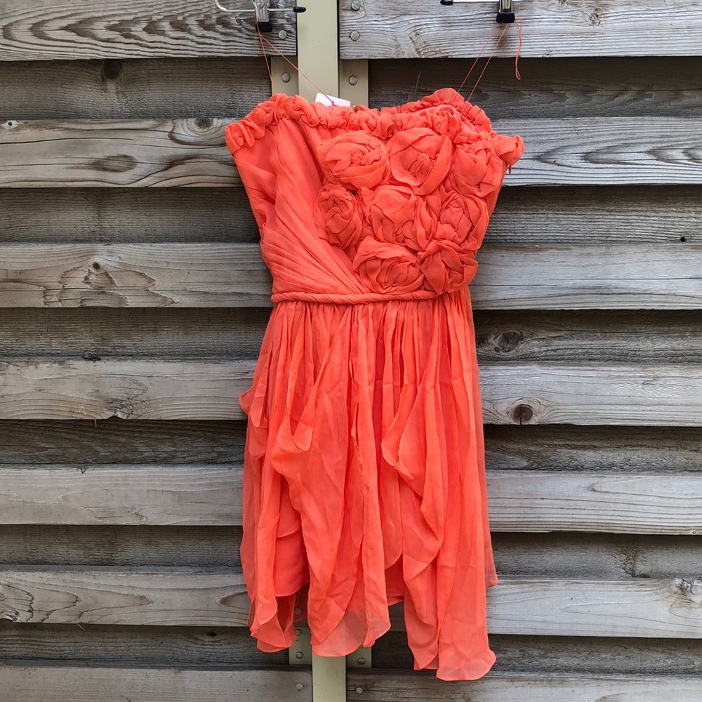 NWT, Robert Rodriguez chiffon dress, size 2